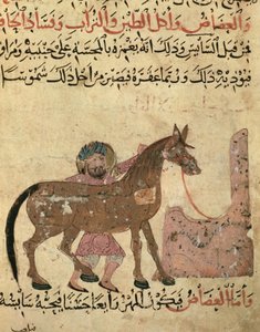Cura del cavallo, illustrazione dal 